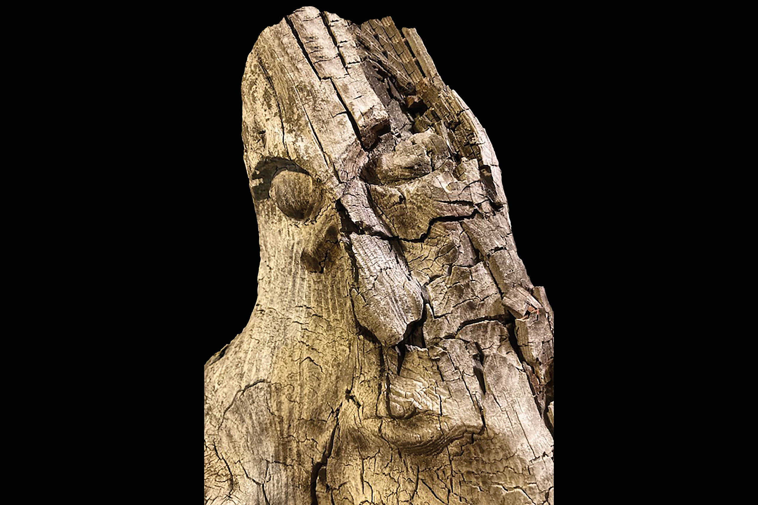 Grange pour Roulottes: Der Partschott und die Wild